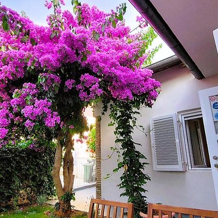 Holiday Home Zora - Family Vacation House Near Protected Area Of The Nature Park Kamenjak, With Green Yard, Wifi, Air-Con Premantura Buitenkant foto
